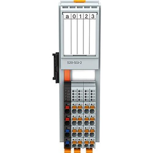 ANALOG GIRIŞ MODÜLÜ S20-SGI-2